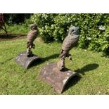 A pair bronze owls mounted on terracotta ridge tiles