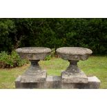 A pair of large carved York stone urns