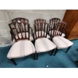 4 plus 2 carver dining chairs