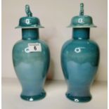 x2 Carltonware ginger jars