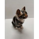 Winstanley cat size 3 (ex condition )