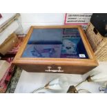 Glass and Wooden Display Cabinet 58cmx48cm