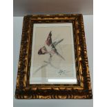 A framed drawing of 2 Songbirds by signed Honoré CAMOS 1906-1991