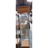 Glass display cabinet with 3 shelves