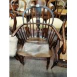 Yew Wood Low back Windsor chair