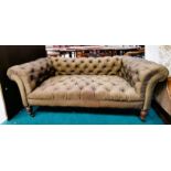 Antique Golden coloured Chesterfield sofa
