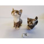 Winstanley cat size 1 plus size 2 with slight chip on ear