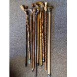 10 Walking Sticks