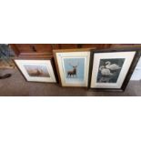 3 x prints by Robert E Fuller of owls