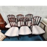 4 plus 2 carver dining chairs