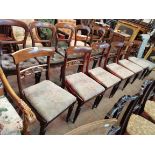 6 x Antique Regency rosewood dining chairs with drop in seats and reeded pads