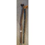 Blackhorn Walking Stick plus one other