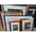 20 + framed pictures and prints