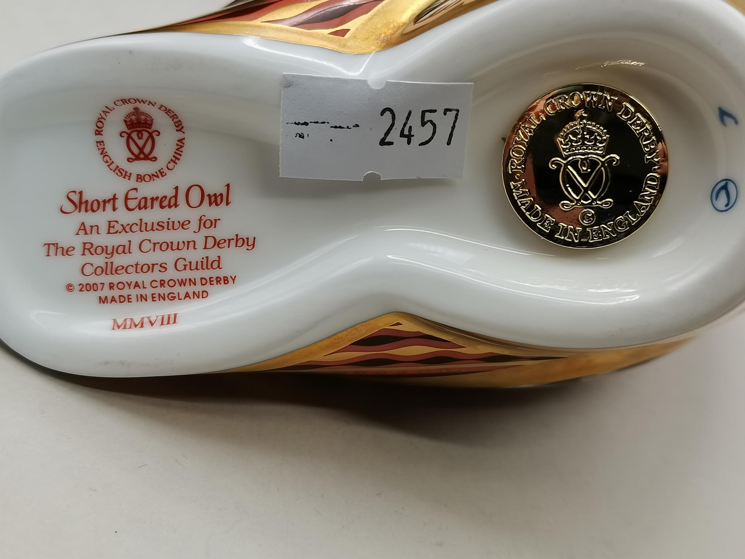 Crown Derby Short Eared Owl Guild Exclusive 2008 MMVIII - Image 2 of 2