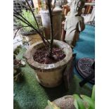 Large Stone Garden pot