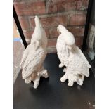 Pair of White ceramic Dilettanti Parrots 28cm Ht