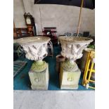 Pair of decorative stone urns on plinths