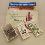 A collection of Cigarette cards