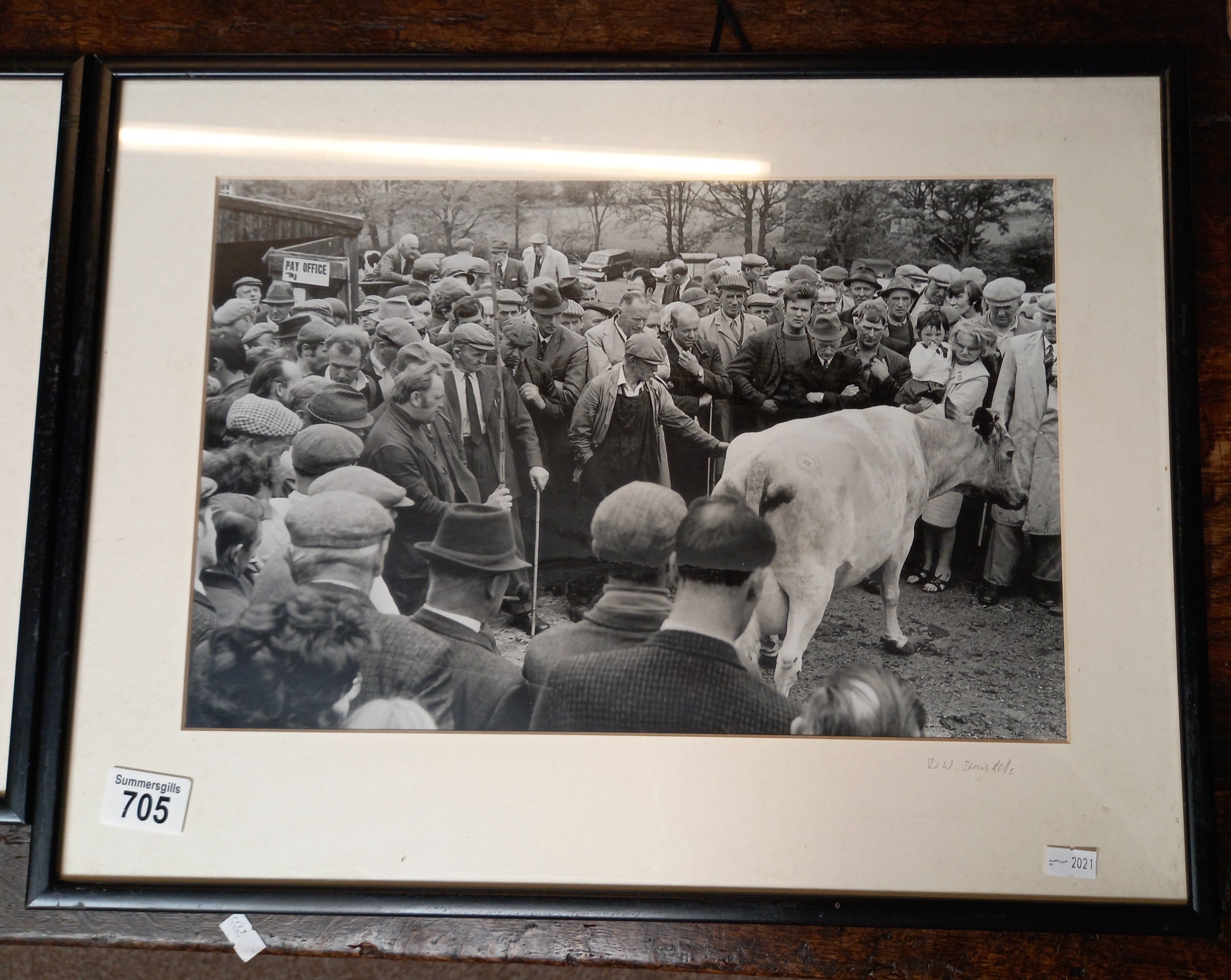 2 x Farming black and white photos of the Auction sale at Northside Head Farm - Image 3 of 3