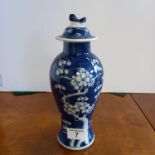Chinese Blue and white Apple Blossom 'Prunus' Vase and cover - H27cm (damage to cover and rim)