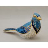 Royal Crown Derby Jay Bird with Gold stopper