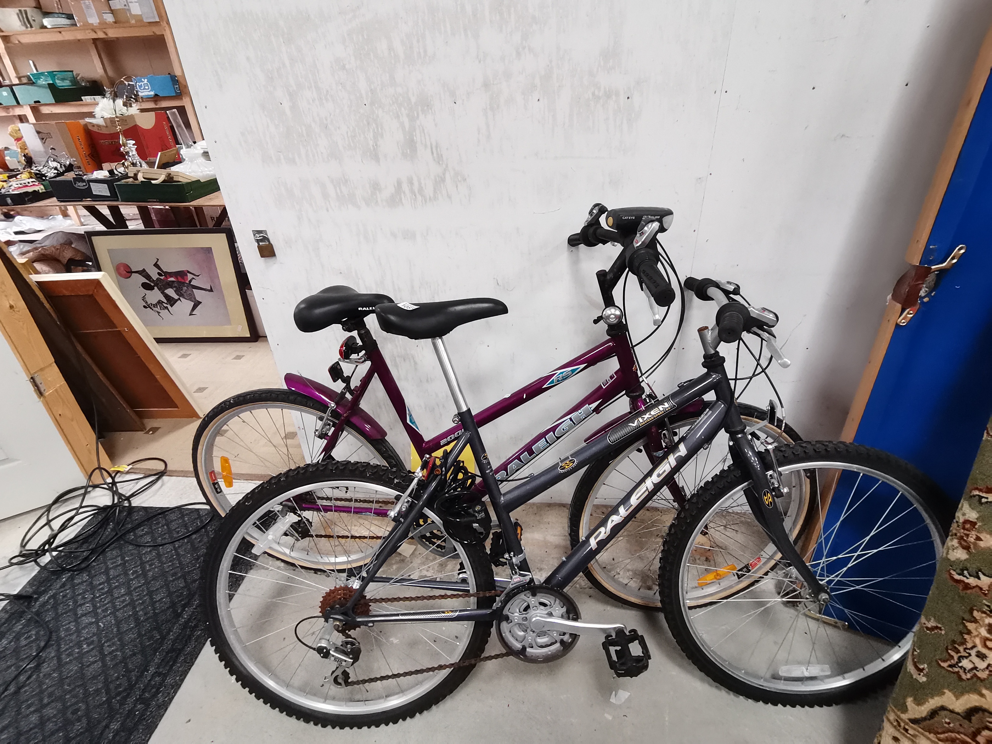 x2 Raleigh mountain bikes