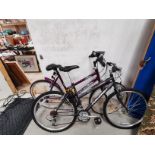 x2 Raleigh mountain bikes