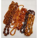 x7 Amber Necklaces
