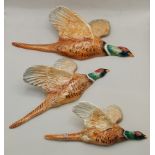 3 x Beswick flying Pheasants (tail d/d on one) marked 661/1, 661/2 and 661/3