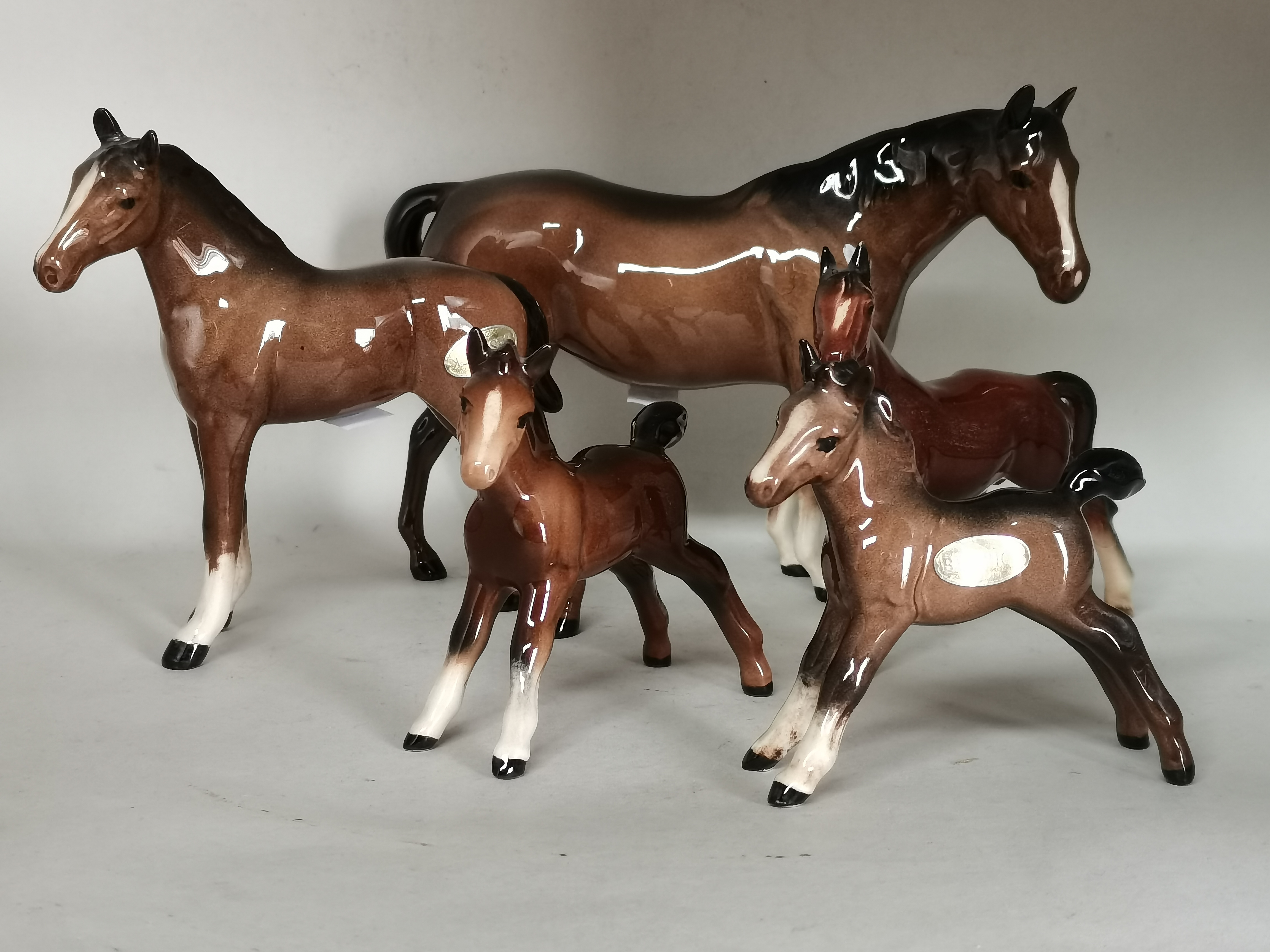 Beswick Bay horse and x4 foals