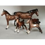 Beswick Bay horse and x4 foals