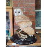Large Country artists Signature Collection Owl figure 46cm Ht