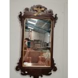 Georgian Mahogany wall mirror with gilded bird and surround