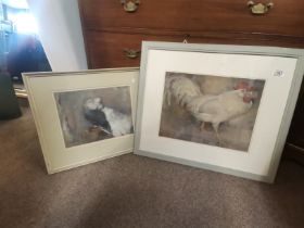 A watercolour of a cockerel plus a watercolour of