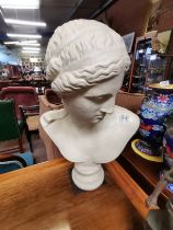 A 60cm high bust of a lady