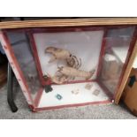 Perspex Display Case Containing a taxidermy Lobster and some small Pots with a Fisherman Figure