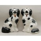 Pair of black and white seated Staffordshire spaniel dog figures 20cm Ht