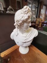 A 55cm high bust of a gent