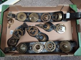 Box of Horse brasses