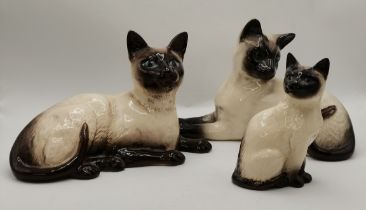A set of Berwick siamese cat figures