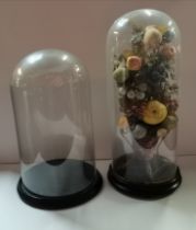 Two tall glass dome display cases, with wooden bases