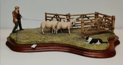 Border Fine Arts - 'Anxious Moment - Penning Sheep'