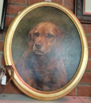 Florence Jay (early 20th Century), Portrait of a golden working cocker spaniel