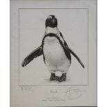 GARY HODGES, BN 1954, A COLLECTION OF FOUR SIGNED LIMITED EDITION PRINTS Titled 'Jackass Penguin' (