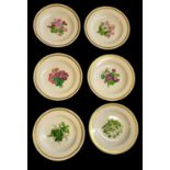 KPM (ROYAL BERLIN WORKS), A SET OF SIX HOUSE DECORATED BOTANICAL CABINET HARD PASTE PORCELAIN