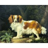A 20TH CENTURY OIL ON CANVAS STUDY OF A DOG King Charles Spaniel in standing pose within foliage, in