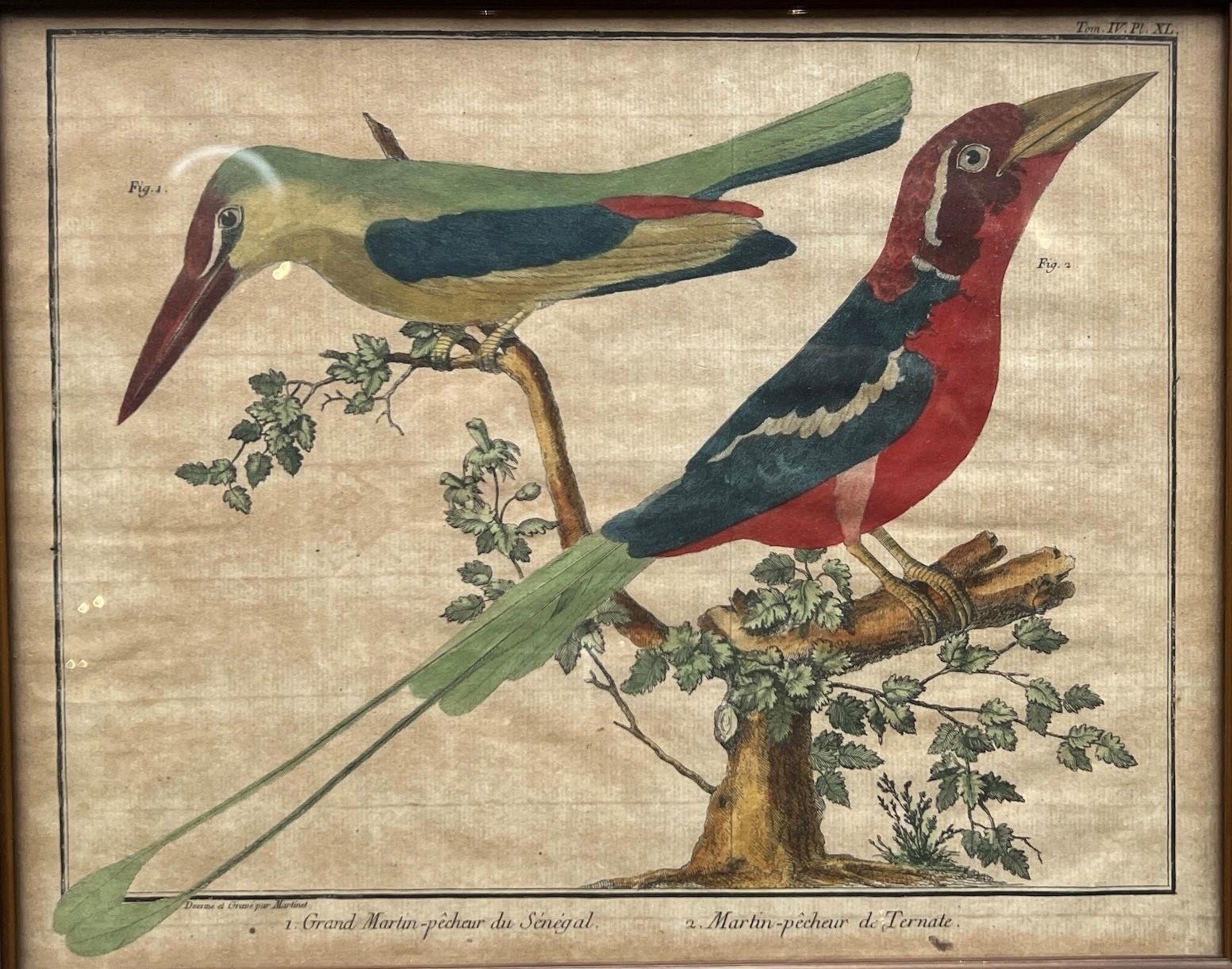 FRANÇOIS-NICOLAS MARTINET, 1725/31 - 1804, A PAIR OF 18TH CENTURY COLOURED ENGRAVINGS Exotic birds - Image 3 of 4