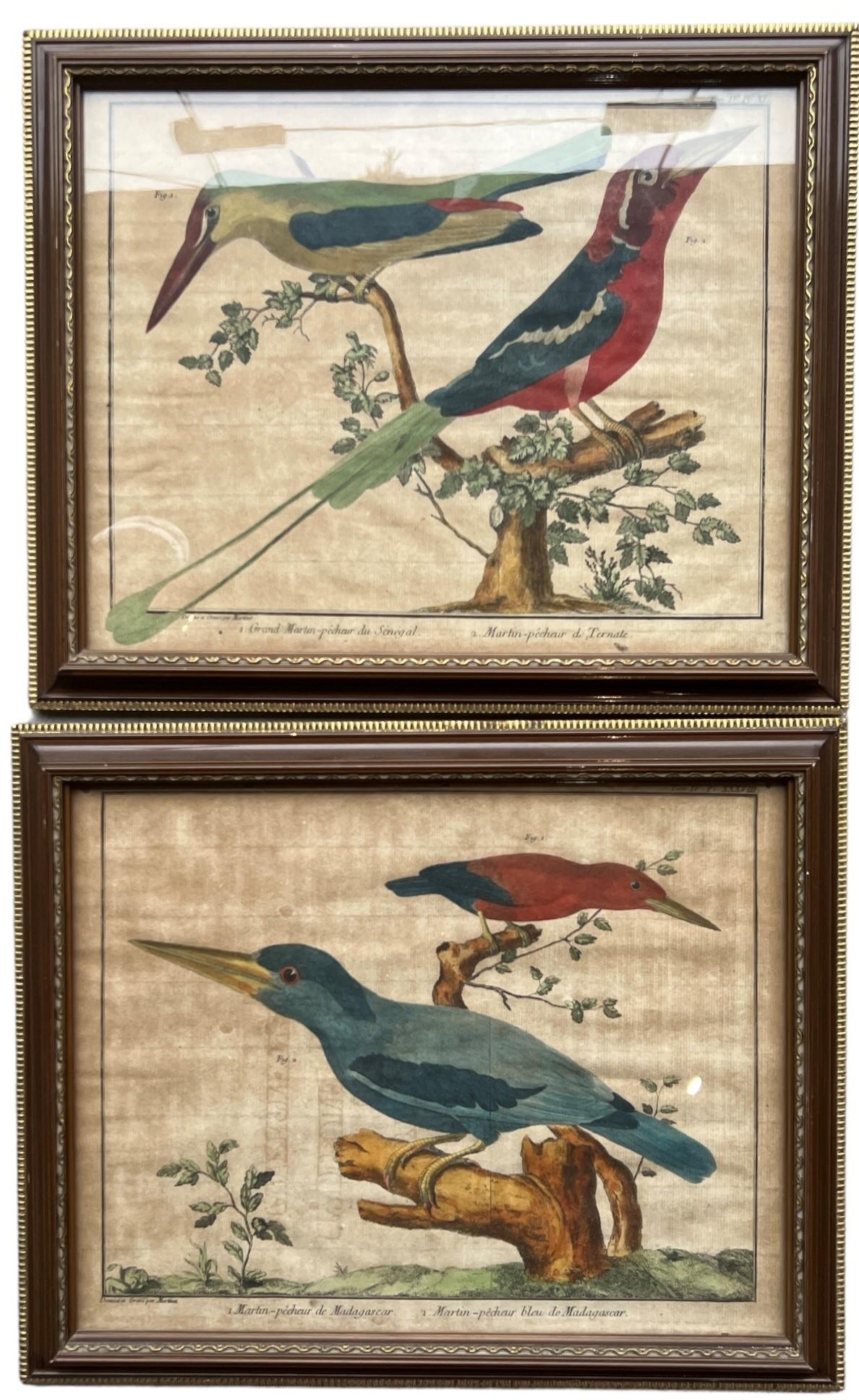 FRANÇOIS-NICOLAS MARTINET, 1725/31 - 1804, A PAIR OF 18TH CENTURY COLOURED ENGRAVINGS Exotic birds