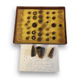 A COLLECTION OF VICTORIAN AND LATER HORN BUTTONS To include a set with carved fix heads, and horse