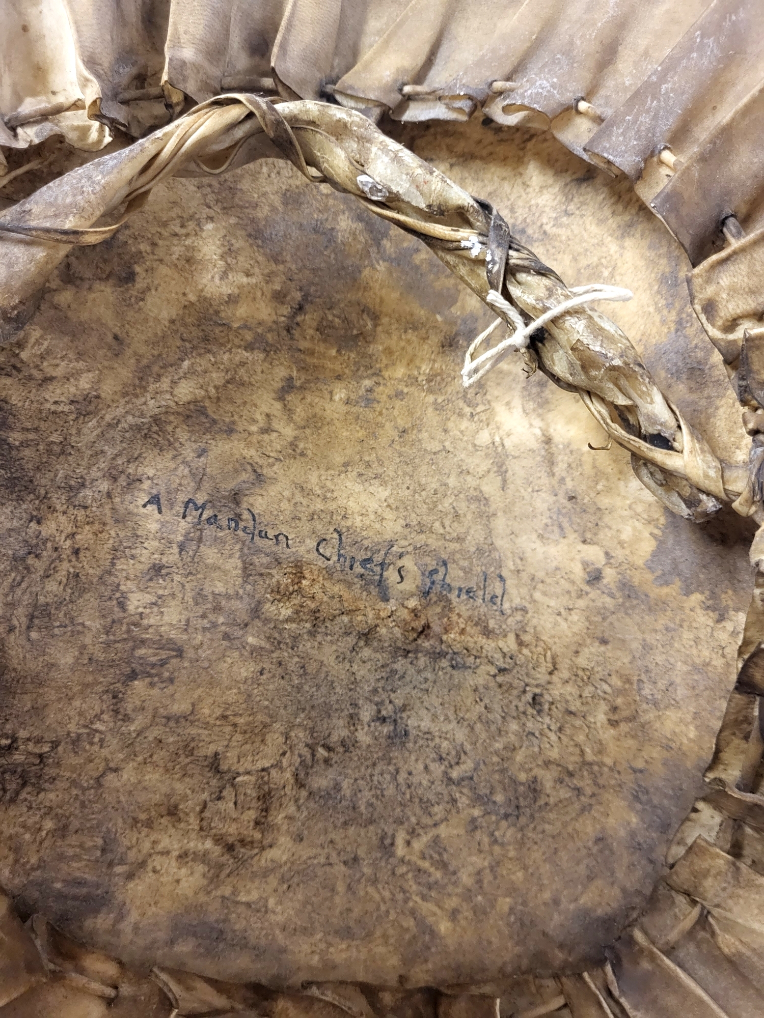 AN ANTIQUE NATIVE AMERICAN INDIAN ANIMAL SKIN 'MANDAN CHIEF' CIRCULAR SHIELD With hand painted - Image 6 of 6